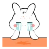 Lovely bunny 5