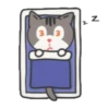Kitty kitten huchu pepper.MOV 6