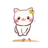 Gatitos tiernos  MOV 10