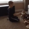 Cats fighting 7