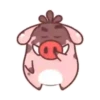 Javali gordo 6