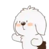 ️ perrito bonito mov 13