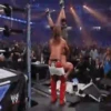 Shawn Michaels Mov 11