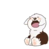 ️ perrito bonito mov 14