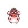 Javali gordo 7