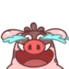 Javali gordo 9