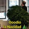 Navidad Mov 15