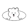 Sungu's daily life .MOV 12