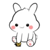Lovely bunny 12