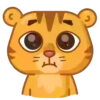 Grumpy tiger 6