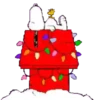 Chrismas Time  .mov 12