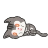 Kitty kitten huchu pepper.MOV 7