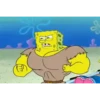 Sponge Bob 14