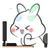Lovely bunny 16