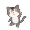 Kitty kitten huchu pepper.MOV 9
