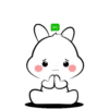Lovely bunny 2 14