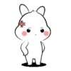 Lovely bunny 18