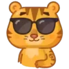 Grumpy tiger 8