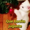 Navidad Mov 22