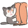Kitty kitten huchu pepper.MOV 11
