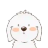 ️ perrito bonito mov 24