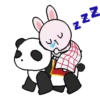 Rabbit and panda  1 Movi 17