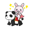 Rabbit and panda  1 Movi 19
