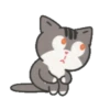 Kitty kitten huchu pepper.MOV 15