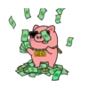 Cerdito y dinero 13