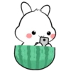 Lovely bunny 2 20