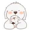 ️ perrito bonito mov 25