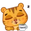 Grumpy tiger 11