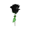 Back In Black Mov 23