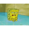 Sponge Bob 24