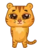 Grumpy tiger 14