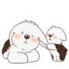 ️ perrito bonito mov 28
