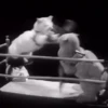 Cats fighting 26