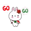 NAVIDEÑOS 24