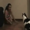 Cats fighting 29