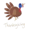 Thanksgiving    (Mov) 30