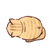 Gatitos tiernos  MOV 30