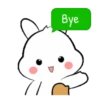 Lovely bunny 24