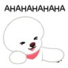 Bichon triste 5