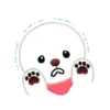 Bichon triste 6