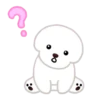 Bichon triste 7