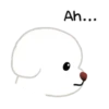 Bichon triste 9