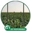 SOY RESPONSABLE 7