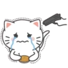 CATS 6