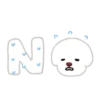 Bichon triste 16