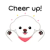Bichon triste 18